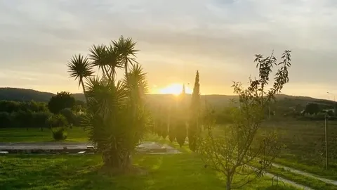 Garden of Casa Colmata