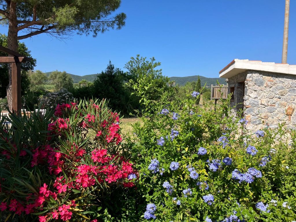 Garden of Casa Colmata