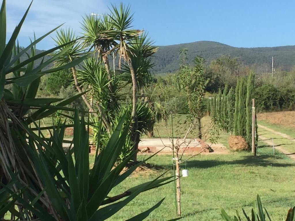 Garden of Casa Colmata