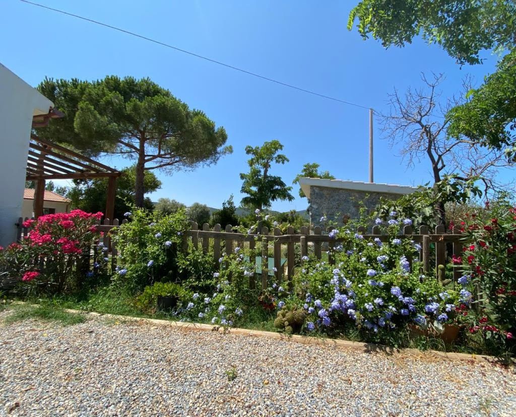 Garden of Casa Colmata