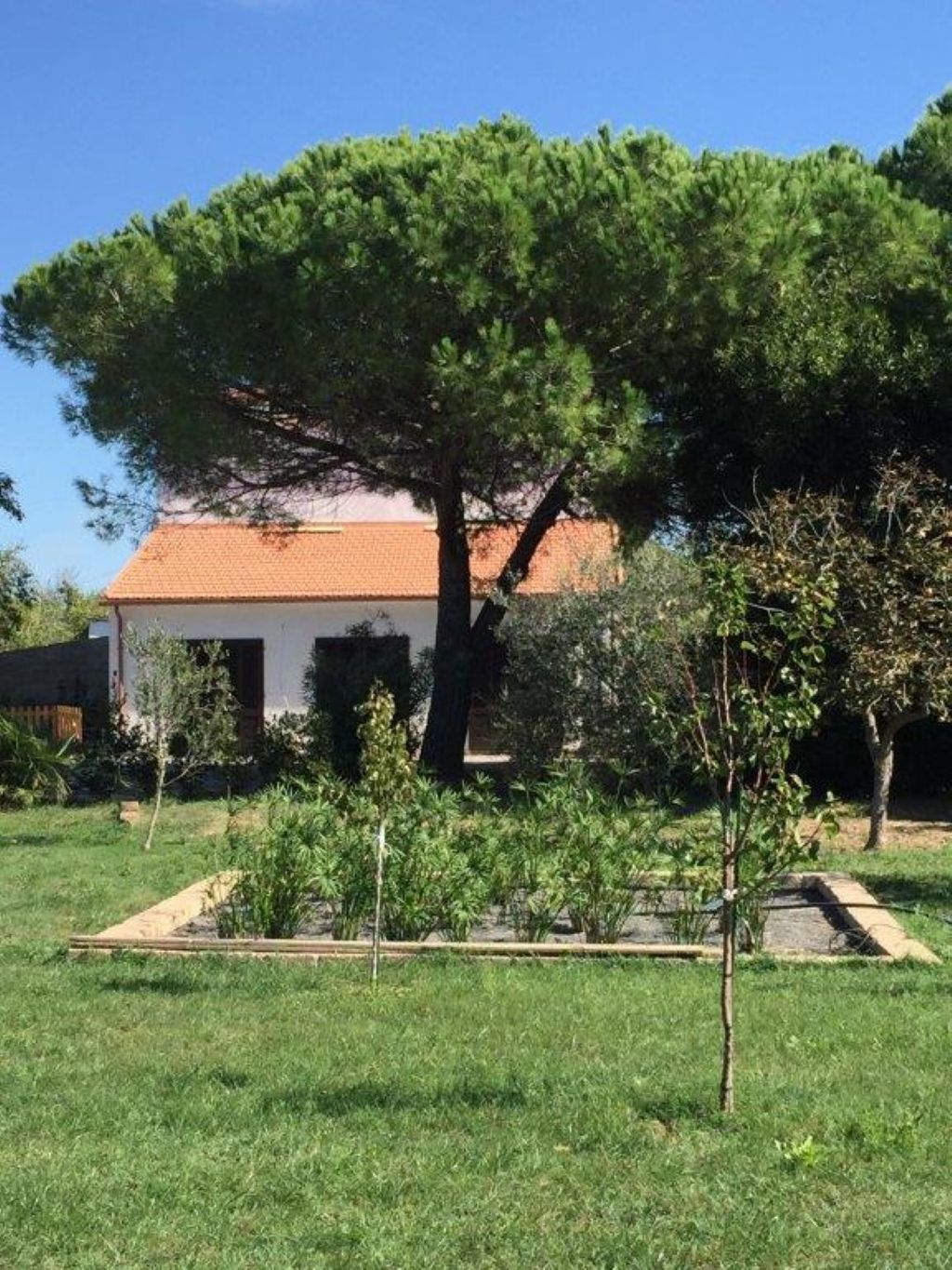 Garden of Casa Colmata